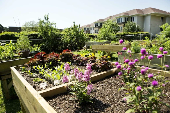 Image of Cypress Glen Retirement Community (10)