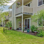 Image of Golden Elm (2)