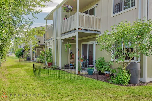 Image of Golden Elm (2)