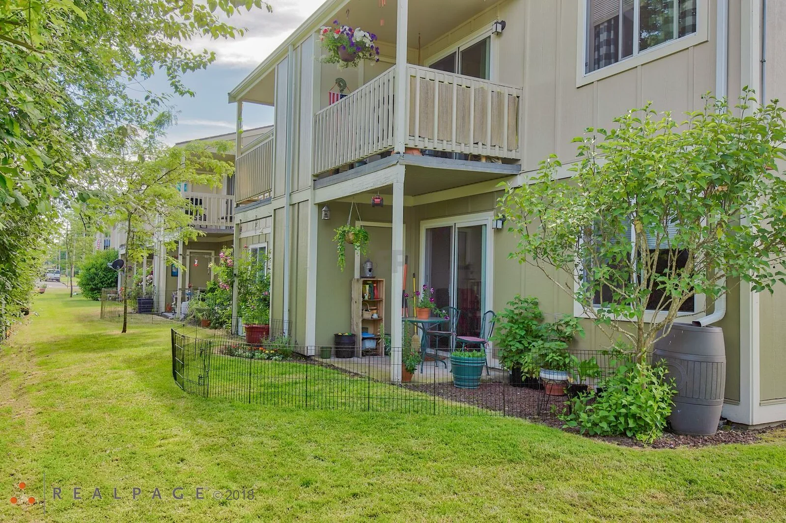 Image of Golden Elm (2)