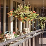 Image of Harvard Square by Cogir (8)