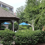 Image of Water's Edge Center For Health & Rehabilitation (3)