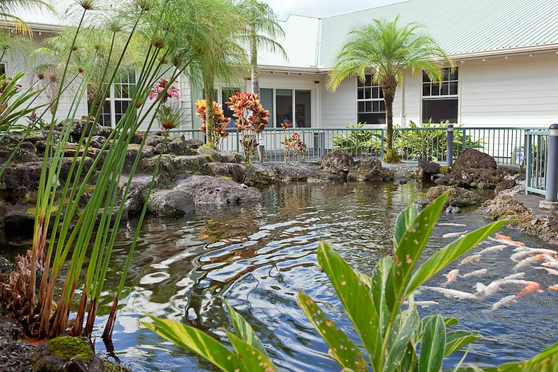 Image of Hale Anuenue Restorative Care (6)