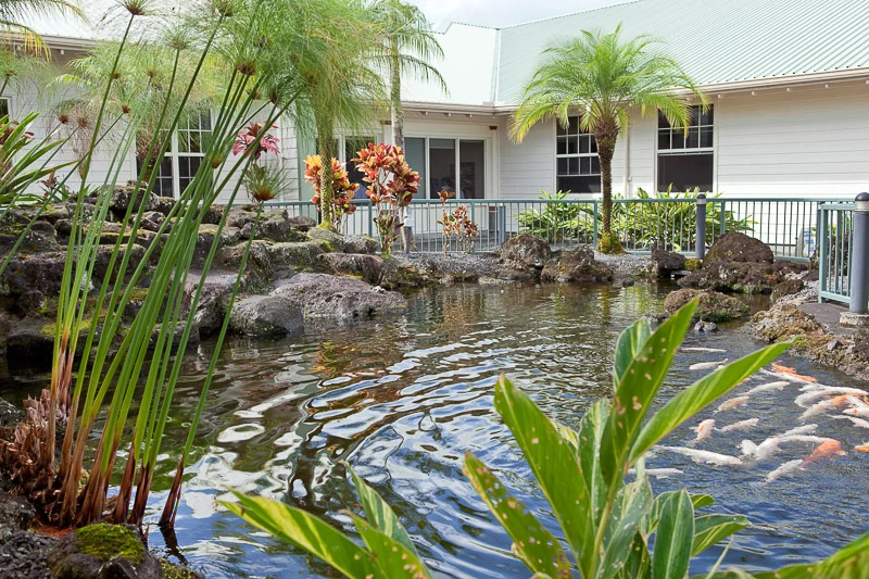 Image of Hale Anuenue Restorative Care (6)