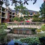 Image of Springbrooke Senior Living (10)