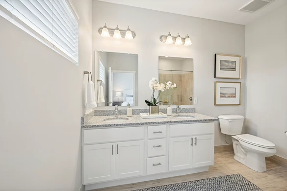 Image of Sugar Maple Commons (6)