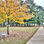 Image of The Terrace at Grove Park (4)