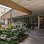 Image of Forest Green Manor (2)