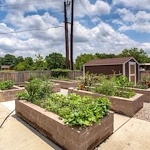 Image of Silver Gardens (2)