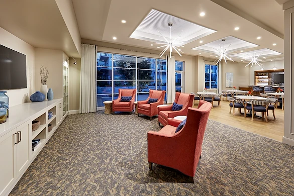 Image of Vivante on the Coast (3)