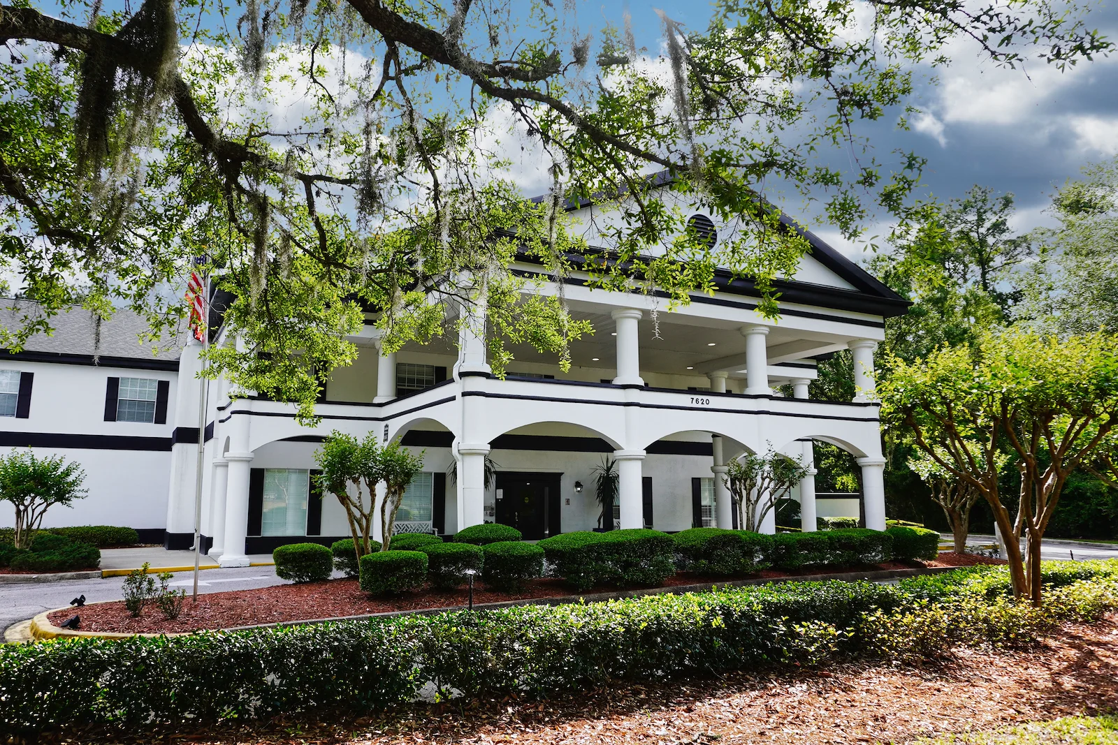 Image of Sodalis Jacksonville (1)