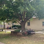 Image of Deerings Nursing And Rehabilitation Lp (7)