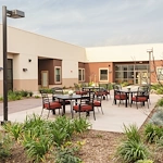 Image of Trellis Chino (2)