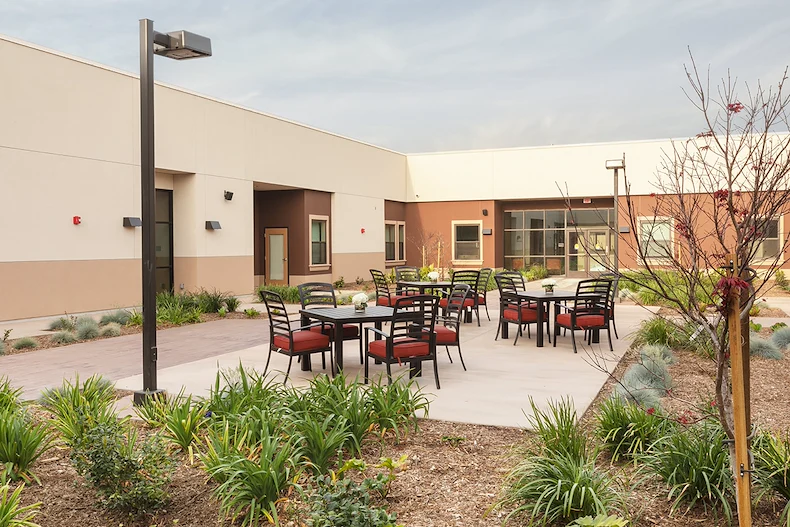 Image of Trellis Chino (2)