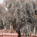 Image of Eagle View Personal Care Home (6)