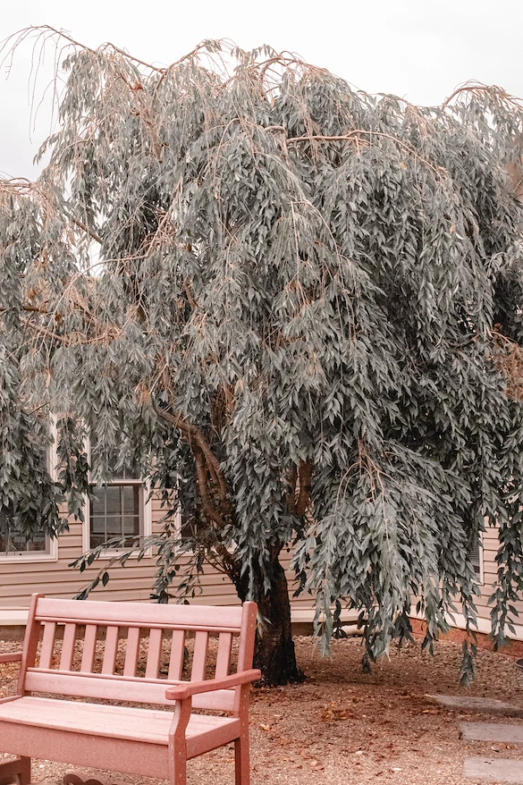 Image of Eagle View Personal Care Home (6)