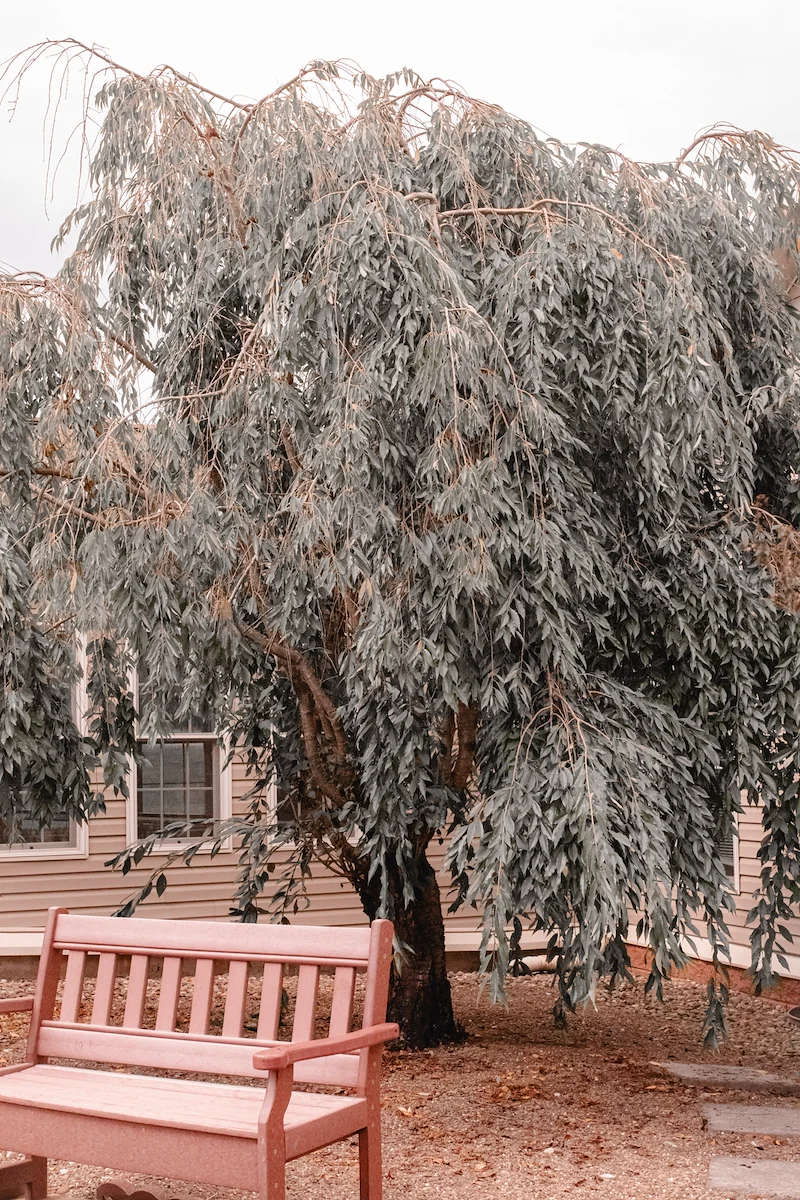 Image of Eagle View Personal Care Home (6)