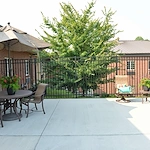 Image of Laurels Of Bon Air (9)