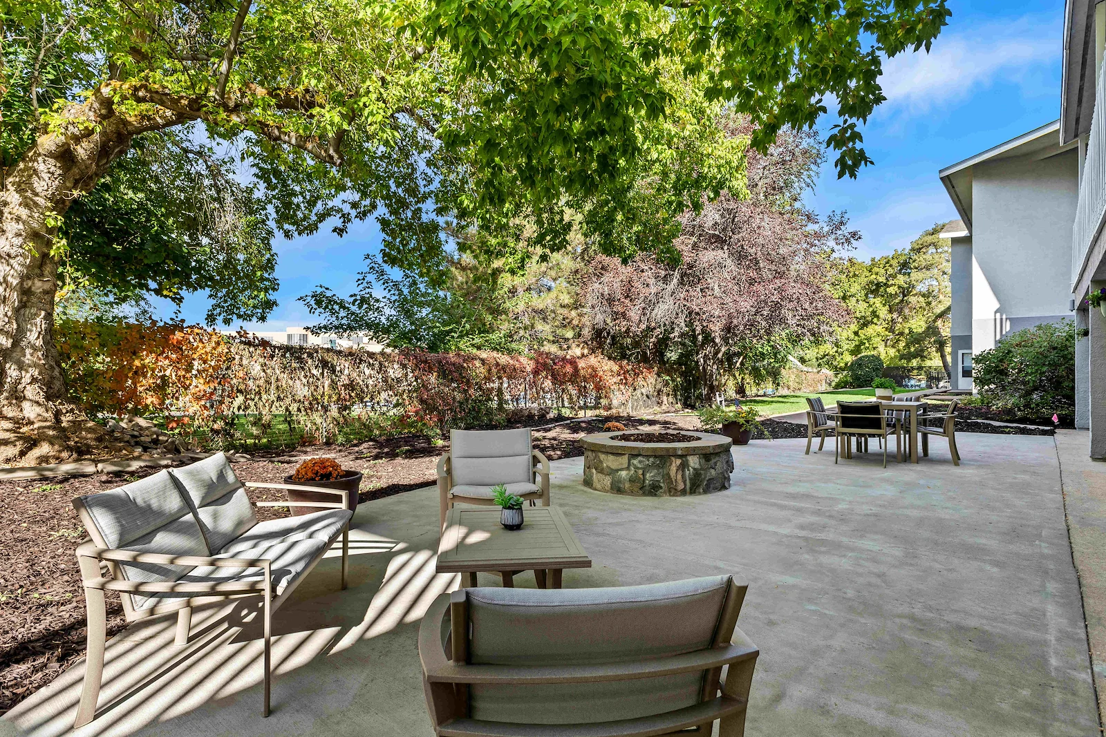 Image of Harrison Regent (5)