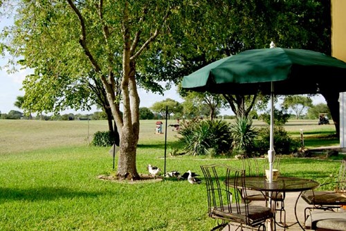 Image of Carol Ann's Home - Hilton Head (7)