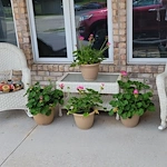 Image of Magnolia Meadows (2)