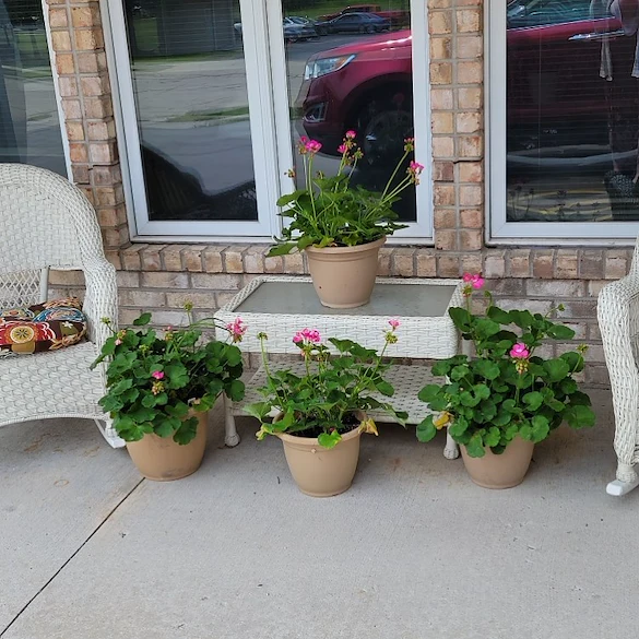 Image of Magnolia Meadows (2)