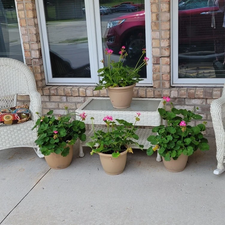 Image of Magnolia Meadows (2)