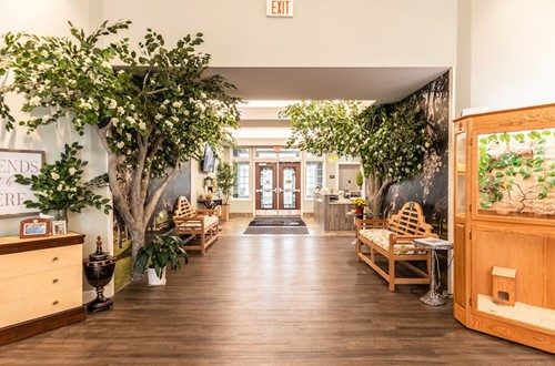 Image of Peregrine Senior Living at Onondaga Hill (4)