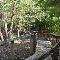 Image of Willow Brook Christian Village - Independent Living (5)