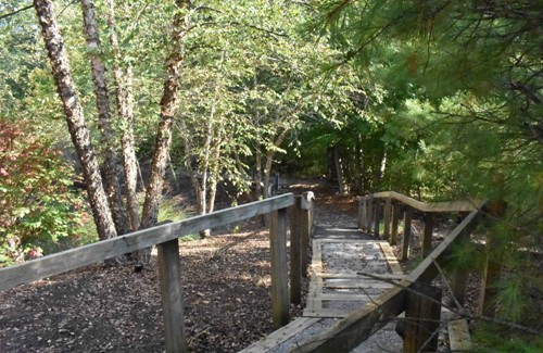 Image of Willow Brook Christian Village - Independent Living (5)