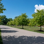 Image of Trinity Community at Beavercreek (10)