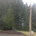 Image of Tumwater Meadows AFH (2)