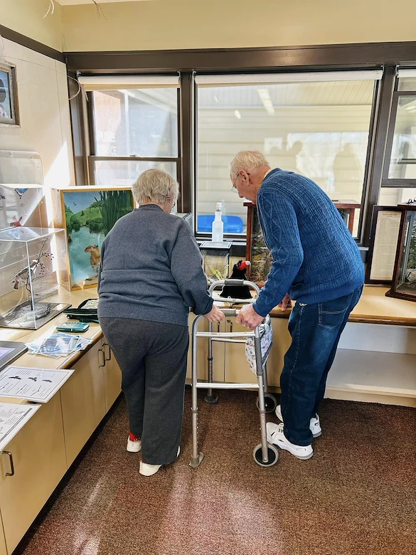 Residents of Kingsley Shores at Richardson Nature Center for a bird raptor show