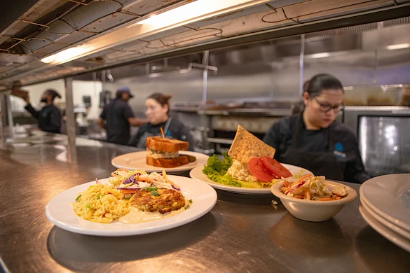 Life at Tamarisk NorthShore-photo-6