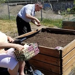 Life at Maplewood Gardens-photo-5