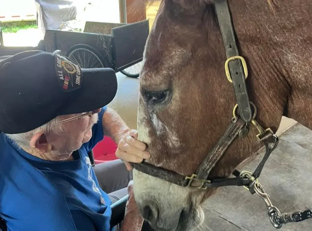 Chelsea Place Memory Care petting a horse
