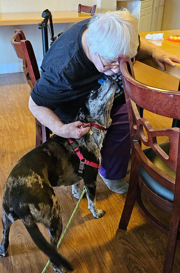 Spring Village at Hammonton resident enjoys a visit from a dog