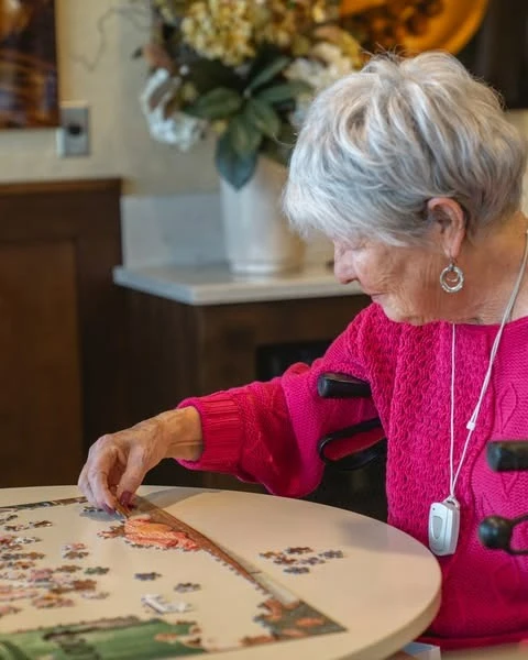 Fieldstone on Clear Creek resident activity - puzzle