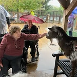 Ascension Living Bethlehem Woods Village senior living community offering independent living, assisted living, and memory care in La Grange Park, IL, residents on an off-site trip to the petting zoo