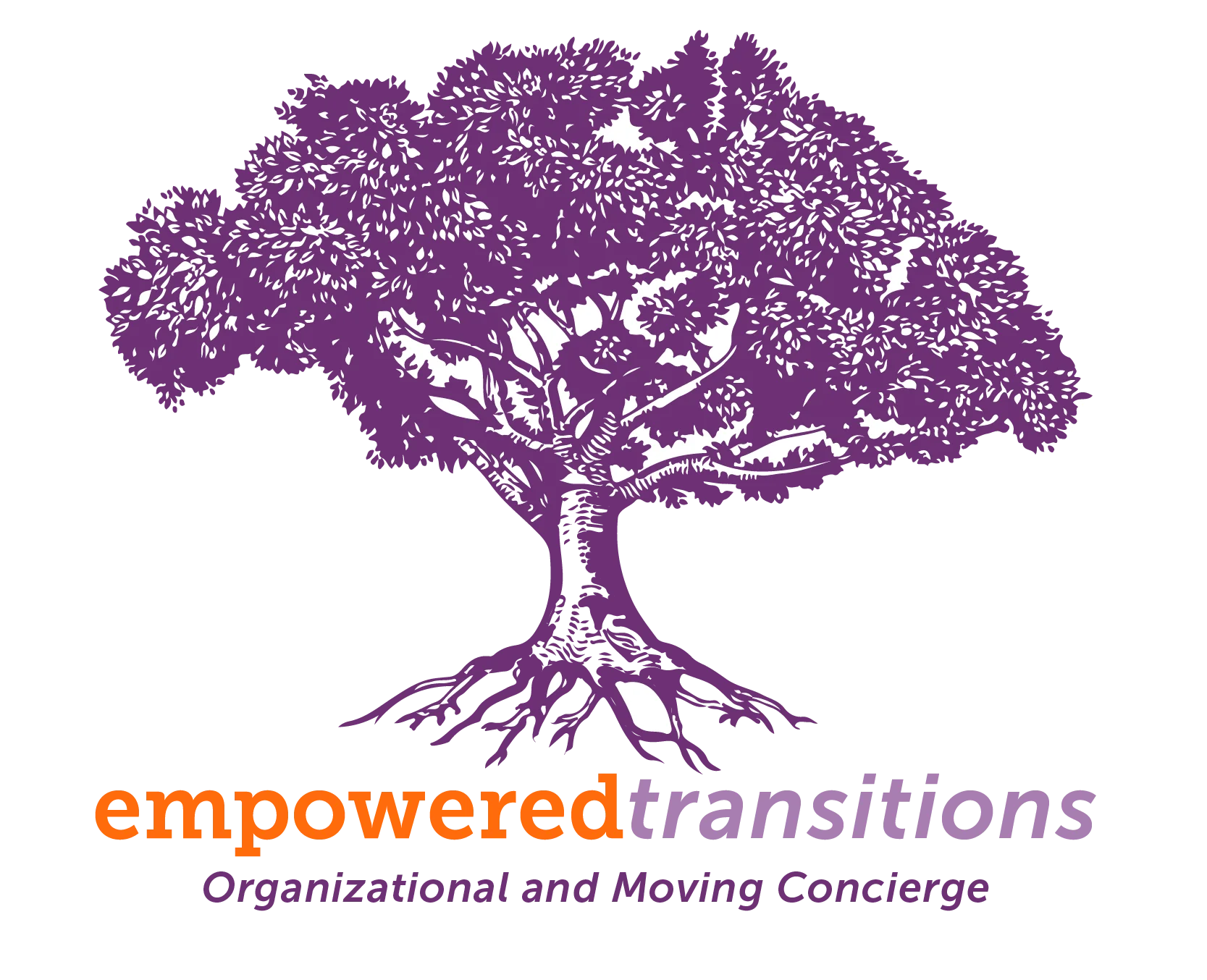 Image of Empowered Transitions (1)