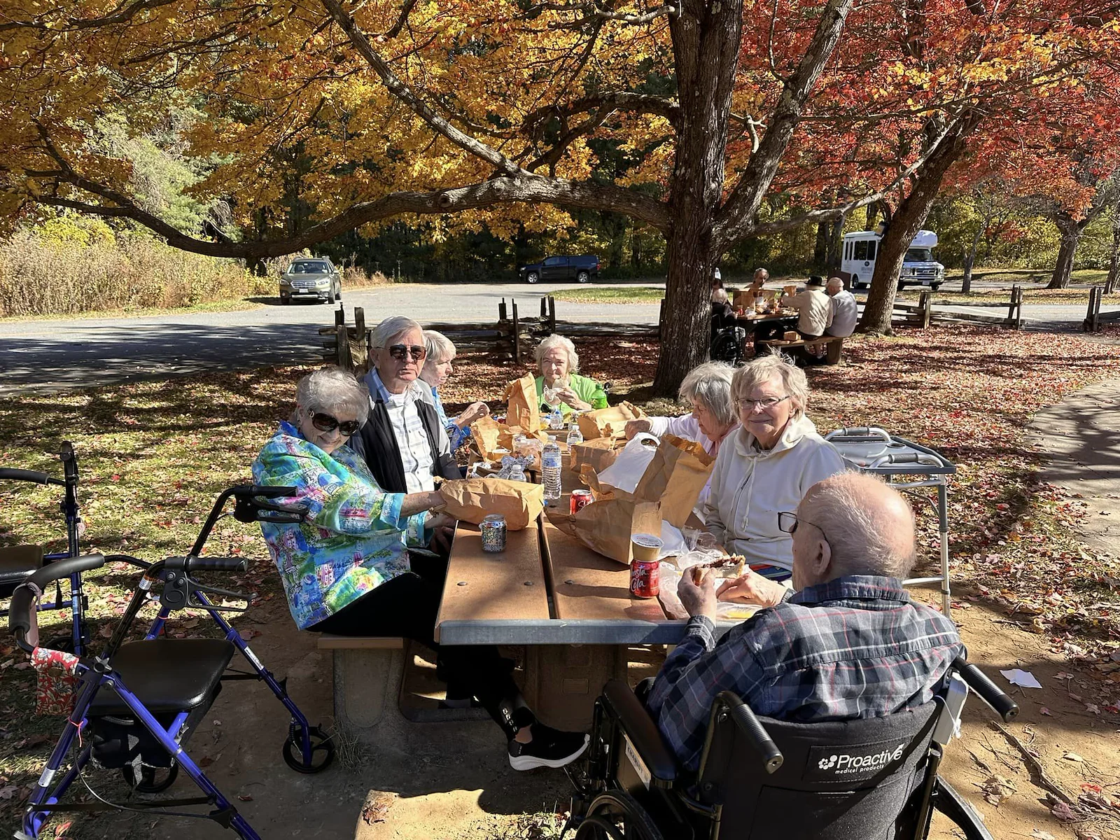 Life at Shenandoah Senior Living-photo-5