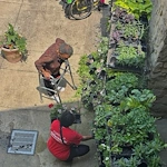 Container garden planting