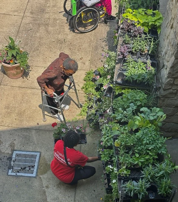 Container garden planting