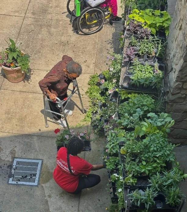 Container garden planting