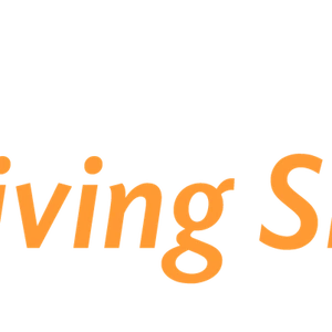 Image of Seniors Living Smarter Services (1)