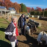 Fairview Estates Gracious Retirement Living Hawthorn Senior Independent Living in Hopkinton, Massachusetts residents at the petting zoo