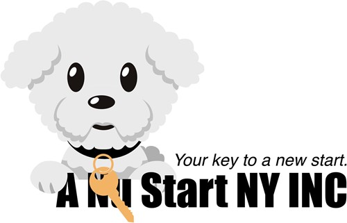 Image of A Nu Start NY (1)