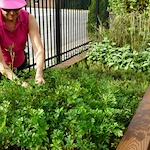 Life at Well-Spring-photo-3