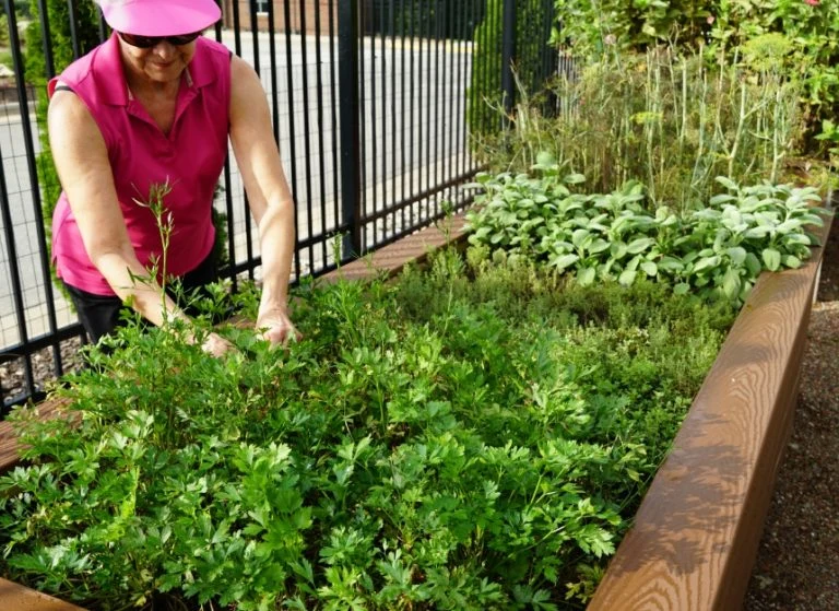 Life at Well-Spring-photo-3