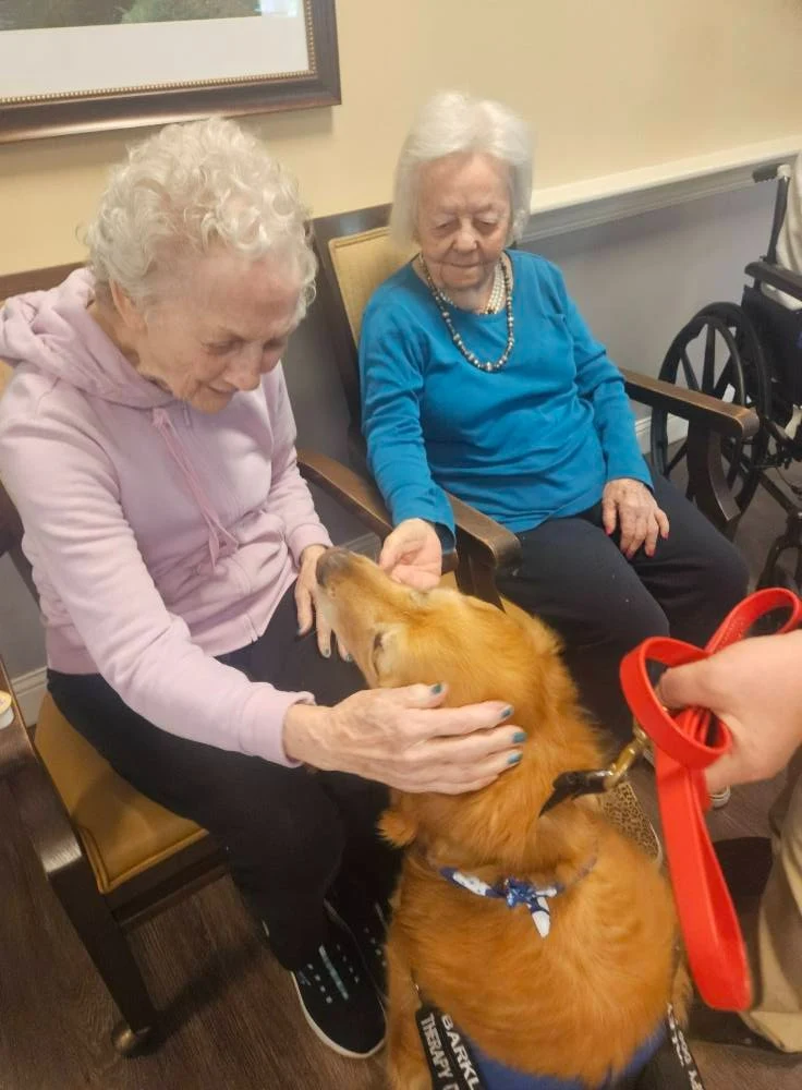 Life at Charter Senior Living of Newport News-photo-4